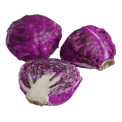 Red Cabbage Models