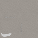 Fabric Boucle Texture, Curly