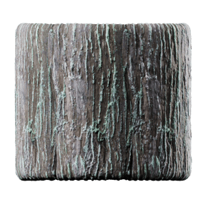 Cracked Algae Deciduous Bark Texture