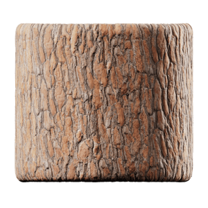 Bark Pine 001