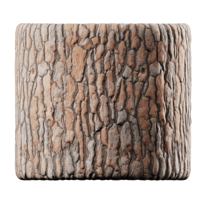 Bark Pine 002