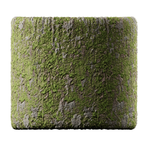 Bark Mossy Spotty 003