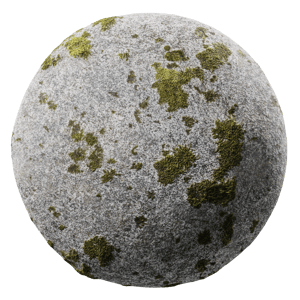 Rock Spotty Moss 002