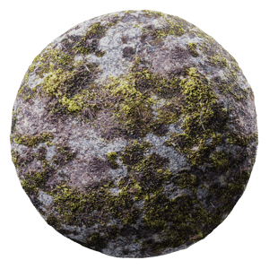 Rock Spotty Moss 005