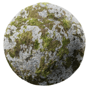 Rock Spotty Moss 006