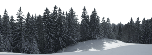 Backdrop Treeline Snowy 001
