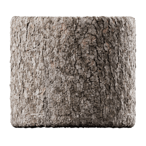 Cracked Deciduous Bark Texture