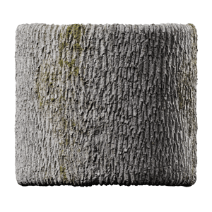 Mossy Deciduous Bark Texture, Grey
