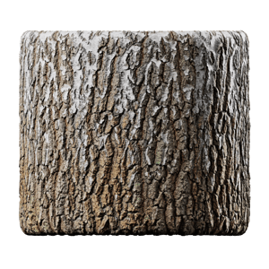 Lower Birch Bark Texture