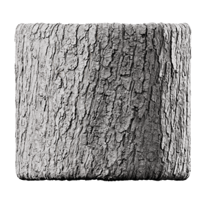 Chestnut Bark Texture