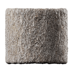 Fir Bark Texture