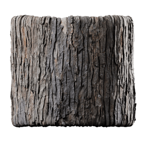 Maple Bark Texture, Silver