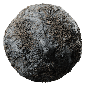 Free Tree Roots Forest Ground Texture
