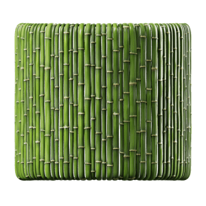 Bamboo Wall Texture, Green
