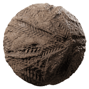 Free Multiple Tire Tracks Mud Texture