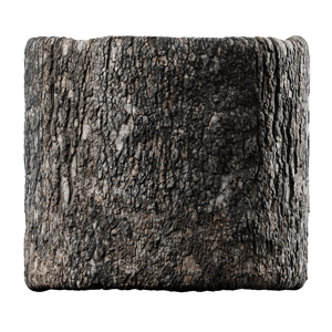 Deciduous Bark Texture, Grey Brown