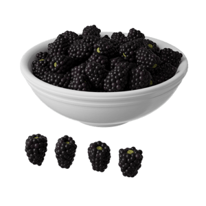 Cherries Fruit Bowl Food Model