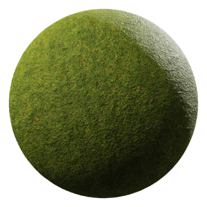 Mossy Grass Ground Texture, Green