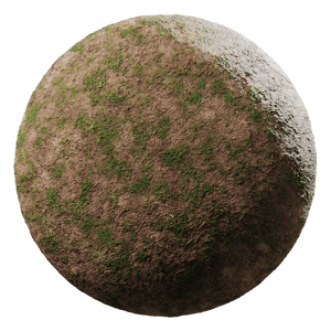Grass Ground Texture, Patchy Green