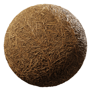 Dried Reeds Ground Texture
