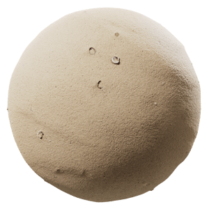 Clean Seashells Sand Texture