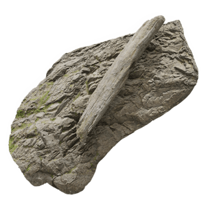 Giant Log Beach Rock Model