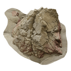 Medium Cracked Beach Rock Model