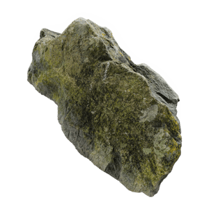 Medium Lichen Covered Beach Rock Model
