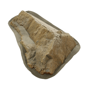 Small Curved Beach Rock Model