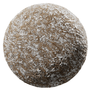 Ground Snow Grass 004