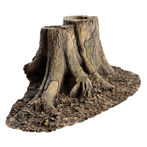 Tree Stump 002
