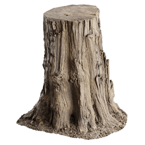 Tree Stump 020
