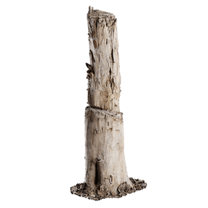 Tree Stump 039