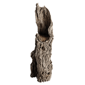 Tree Stump 040