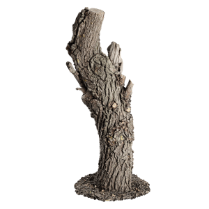 Tree Stump 047