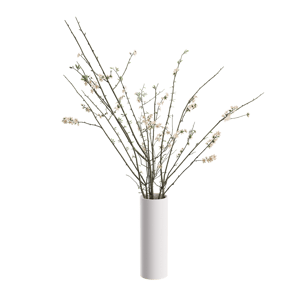 Plant Twiggy 001