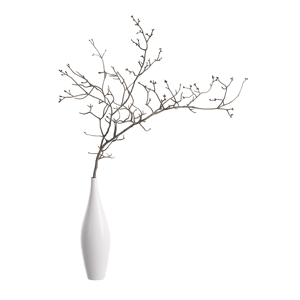 Plant Twiggy Big Branch 001