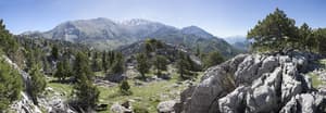 Backplate Mountains 005
