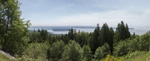 Backplate Treeline City 001