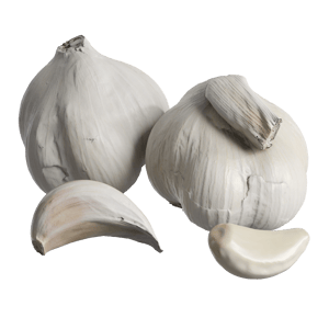 Food Garlic 001