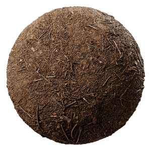 Ground Dirt Forest Needles 005