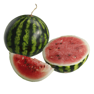 Watermelon Models