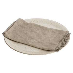 Napkin and Ceramic Plate Models
