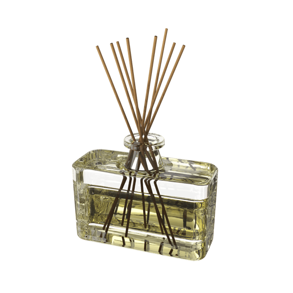 Glass Reed Diffuser Home Decor Model