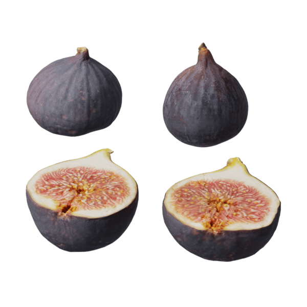 Fig Fruit Food Model