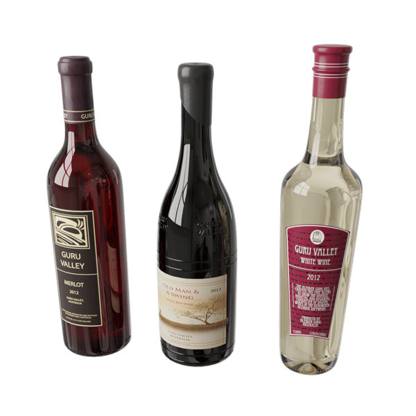 Three Wine Bottle Models