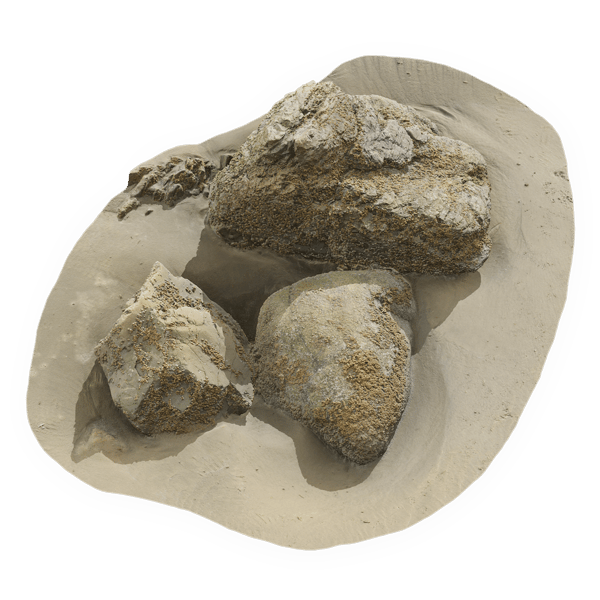 Lichen Covered Beach Rock Cluster Model