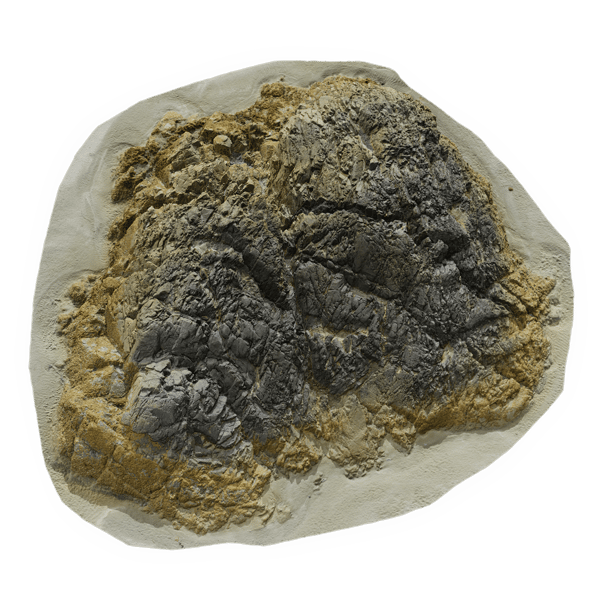 Giant Lichen Covered Beach Rock Model