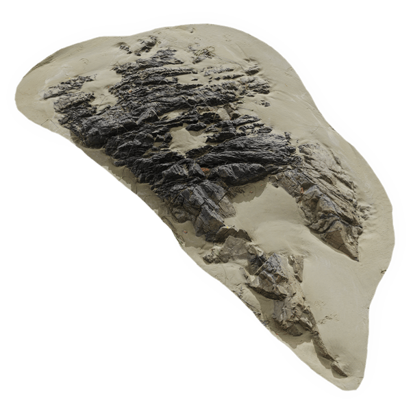Large Low Jagged Beach Rock Model