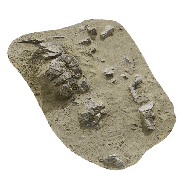 Large Scattered Beach Rock Model